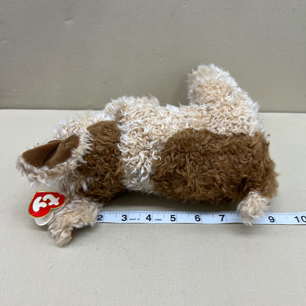 TAFFY The Terrier  - Ty Beanie Baby - Picture 3 of 7